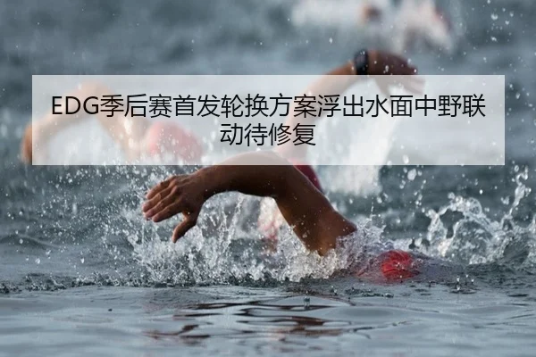 EDG季后赛首发轮换方案浮出水面中野联动待修复